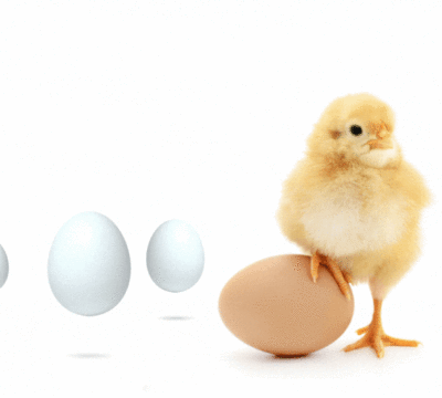 #foodtech: egg substitute for the food industry