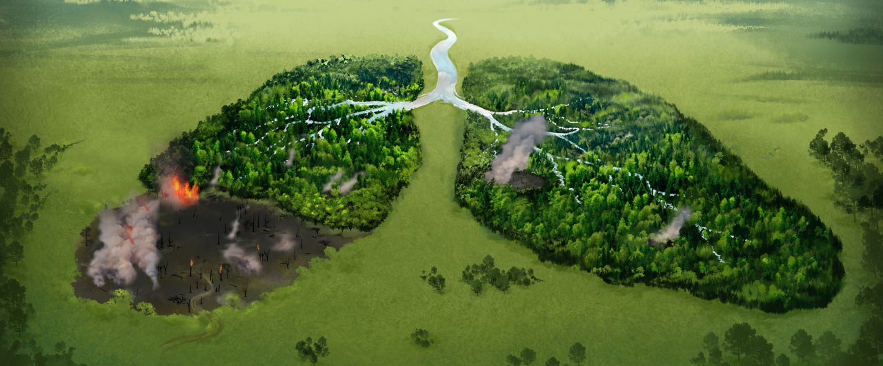 Applied Data Science: Save The Amazonas Rainforest