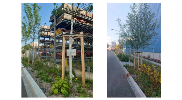 Carefully placed trees with urban suitability complete the sponge city element. Sensors continuously collect data on weather conditions, soil properties and sap flow. Selected vegetation provides shade and promotes biodiversity (Source: ZHAW/IUNR, 2022).