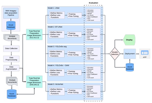 Research Process