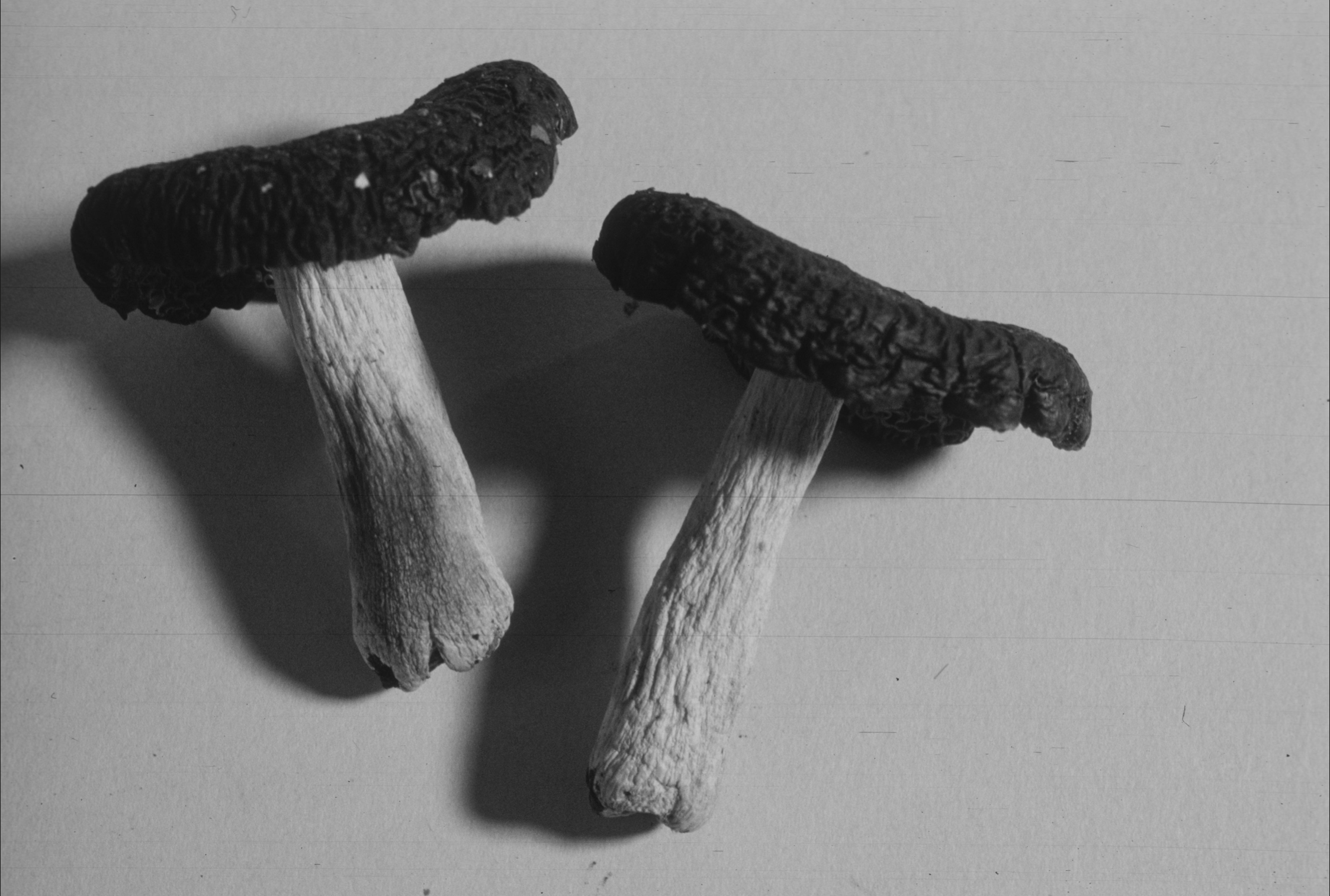 Klima & Biodiversität