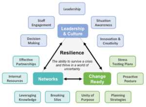 Organisationale Resilienz: Routinen Und Praktiken Für Unternehmen ...