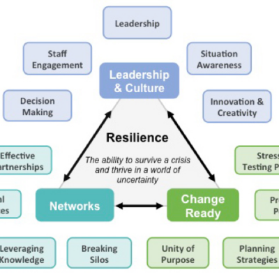 Organisationale Resilienz: Routinen und Praktiken für Unternehmen?