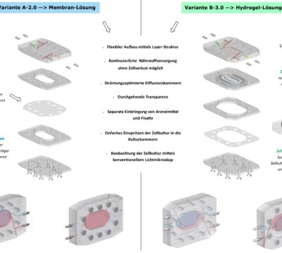 Entwickeln einer Zellkultur-Kammer 3D-Bioreaktoren