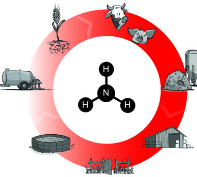 Management of ammonia emissions as a strategic success position for a supplier of animal housing technology in Switzerland
