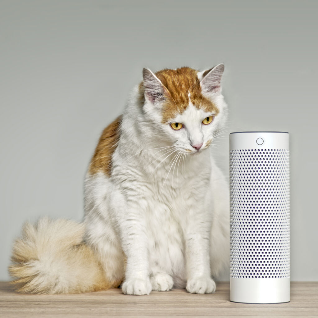 «We may soon be treating voice assistants like pets»